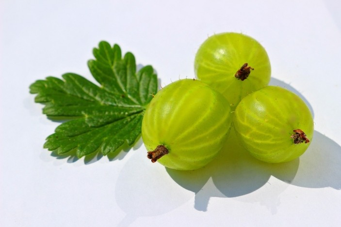 आंवला खाने के फायदे